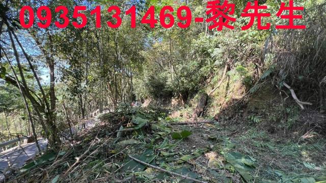 新竹橫山建地-6