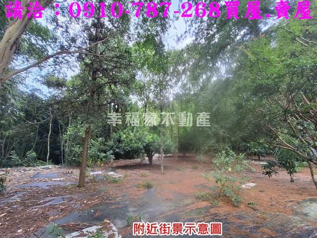 南投埔里建地-9
