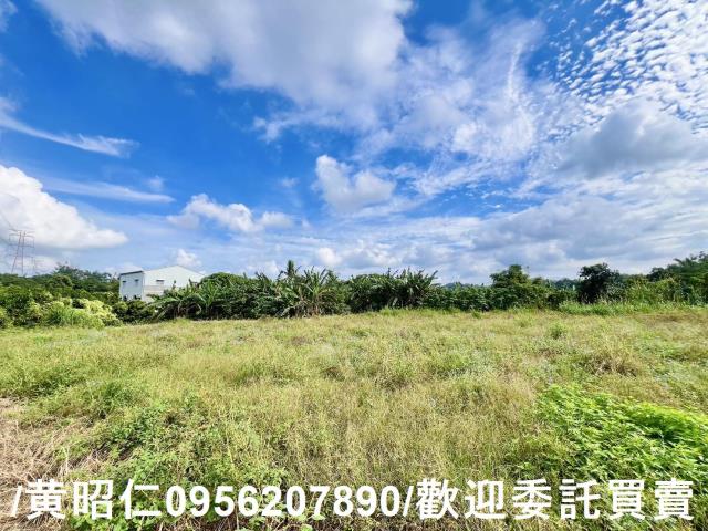左鎮建地-1