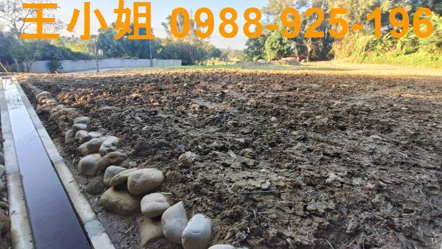 桃園建地-2