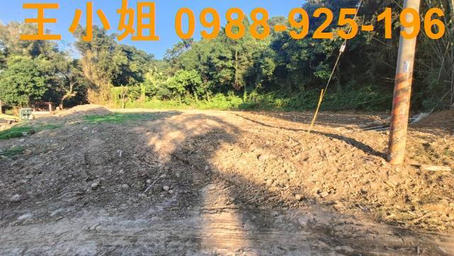 桃園建地-5