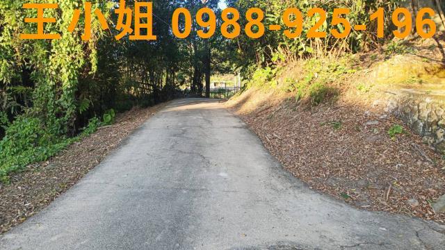 桃園建地-7