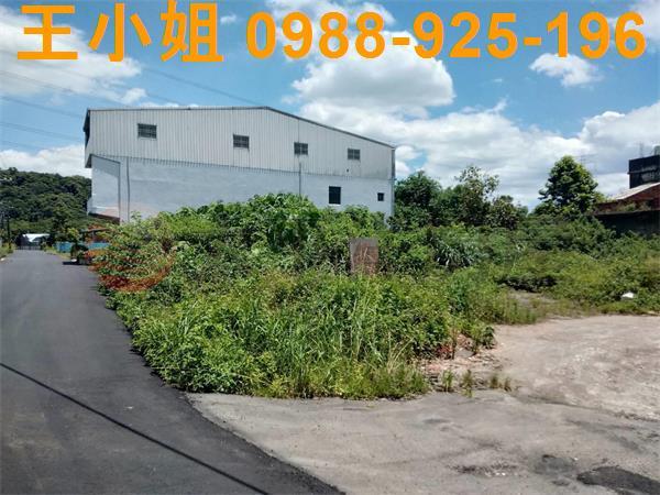 桃園建地-3