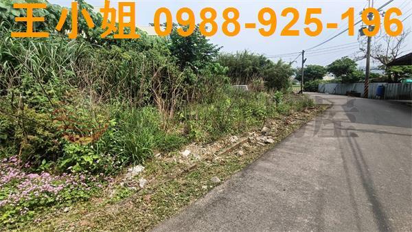 桃園建地-4