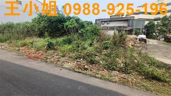 桃園建地-7