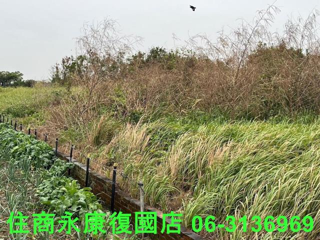 將軍建地-10
