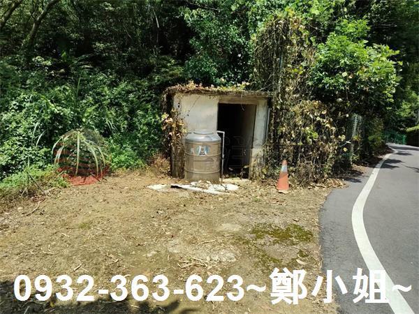 桃園建地-12