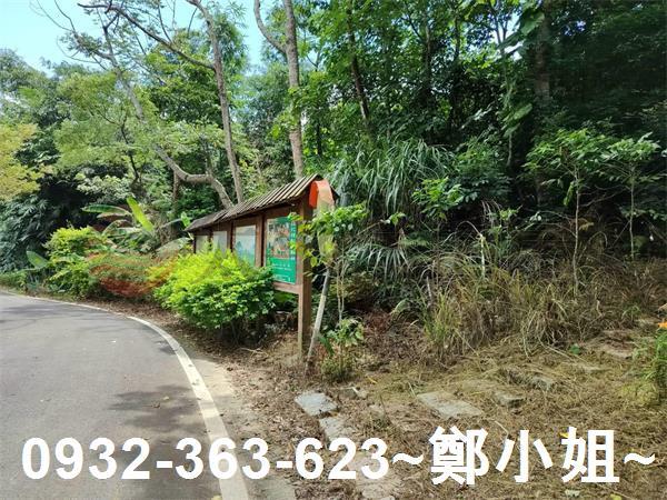 桃園建地-13