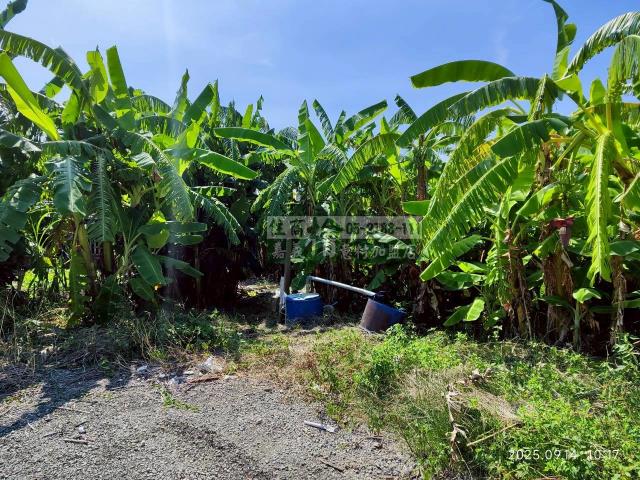 雲林四湖建地-10