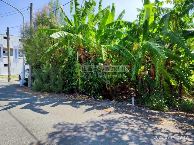 雲林四湖建地-1