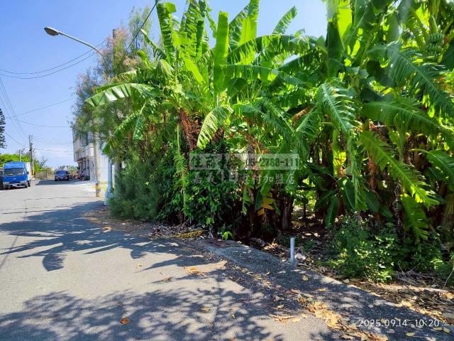 雲林四湖建地-4