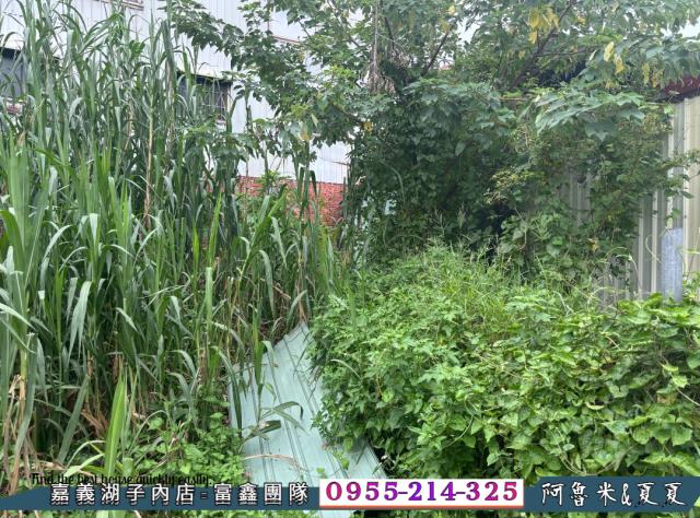 嘉義溪口建地-1