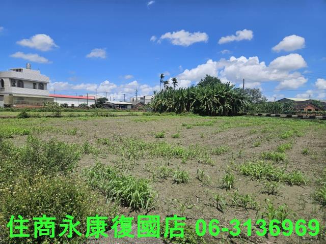 鹽水建地-6