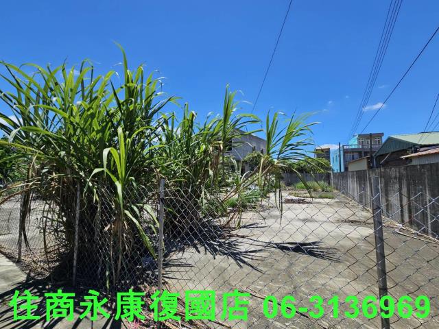 台南鹽水建地-1