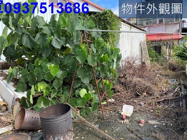 宜蘭宜蘭市建地-1