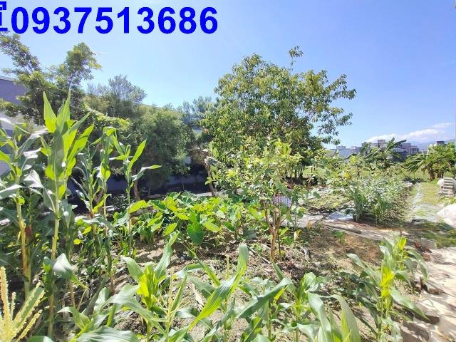 宜蘭宜蘭市建地-6