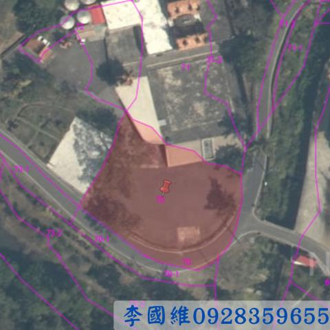 嘉義中埔法拍建地-2