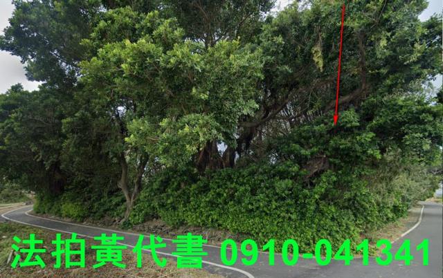 東石法拍建地-4