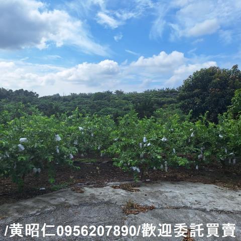 台南玉井建地-0