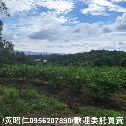 台南玉井建地-4