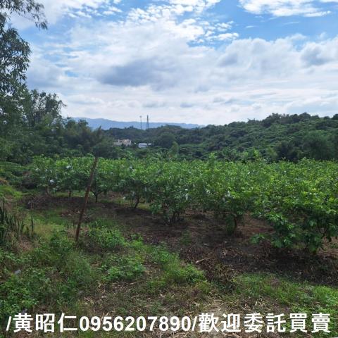 台南玉井建地-5