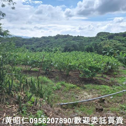 台南玉井建地-6