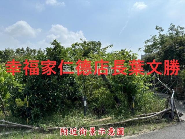 台南西港建地-12