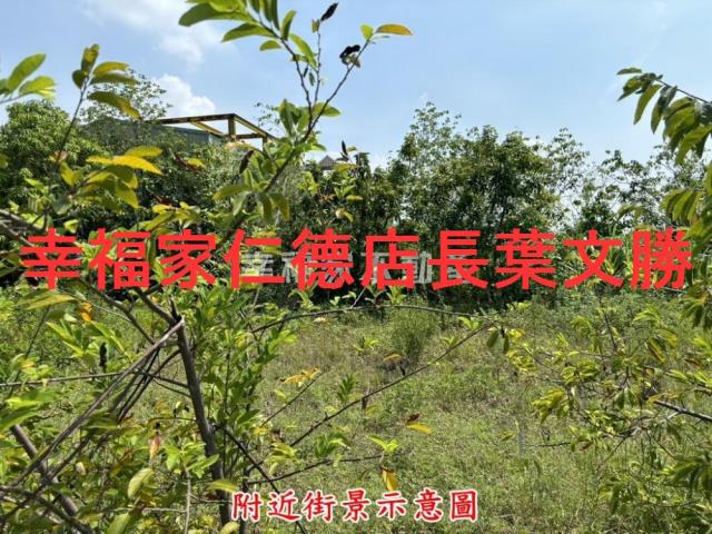 台南西港建地-3