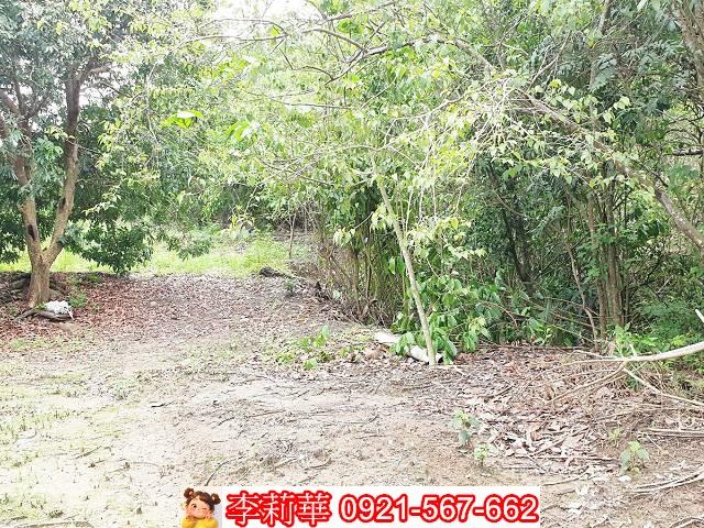 高雄田寮建地-9