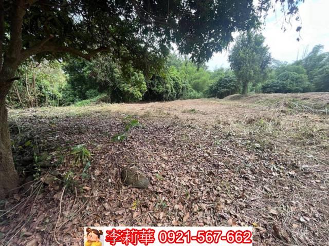 高雄田寮建地-2