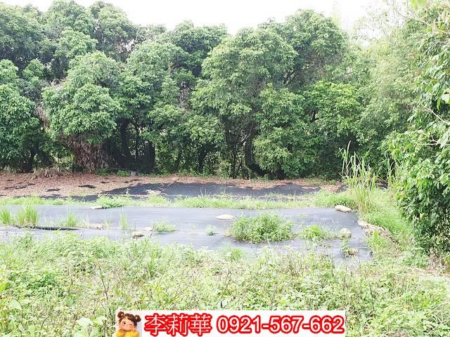 高雄田寮建地-4