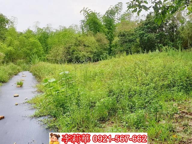 高雄田寮建地-5