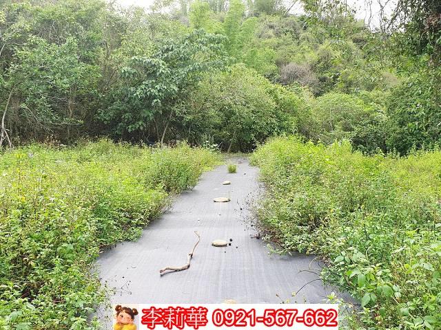 高雄田寮建地-6