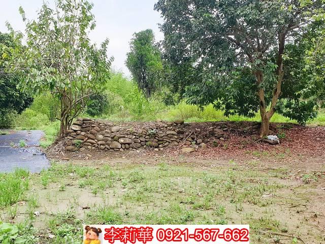 高雄田寮建地-7