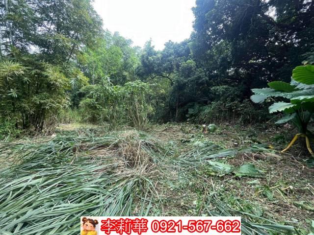 高雄田寮建地-8