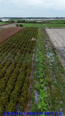 嘉義太保建地-7