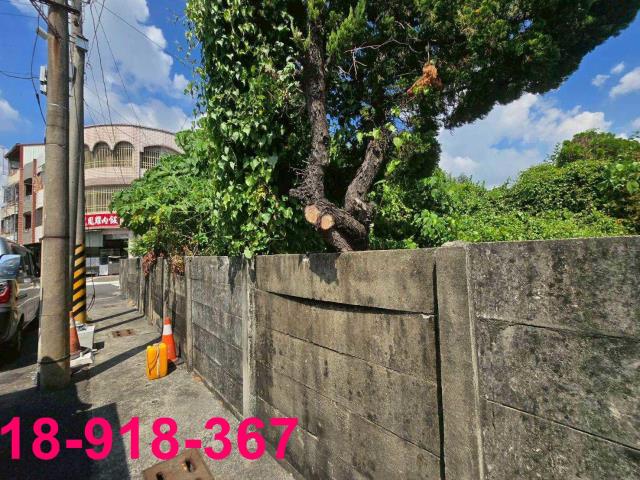 嘉義溪口建地-5