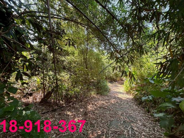 嘉義大林建地-1