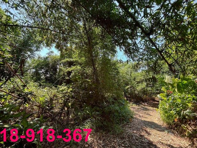 嘉義大林建地-3