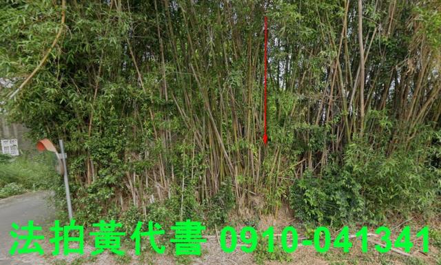 新竹新豐建地法拍-8