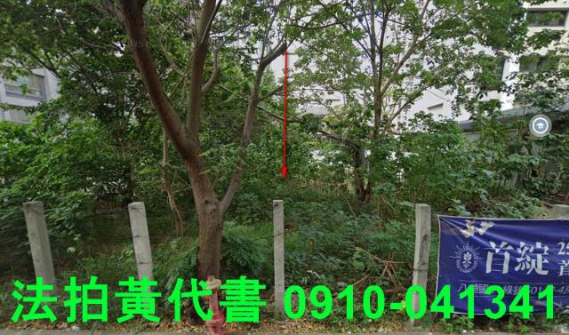 桃園區建地法拍-0