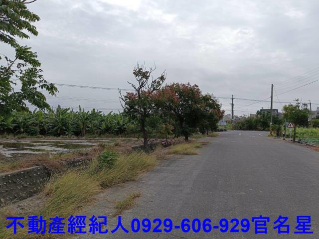 嘉義太保建地-0