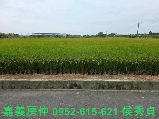 嘉義水上建地-1