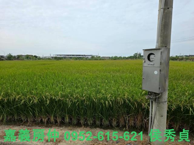 嘉義水上建地-2