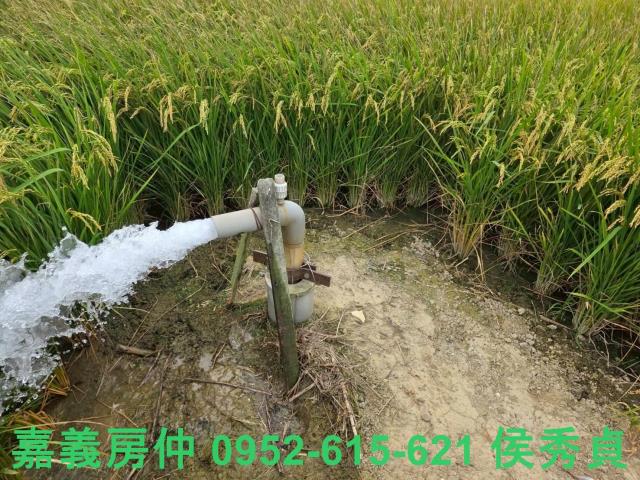 嘉義水上建地-3