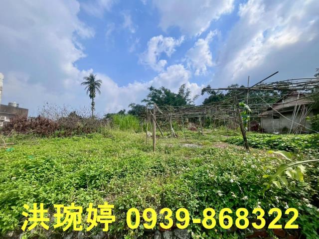 南投南投市建地-2