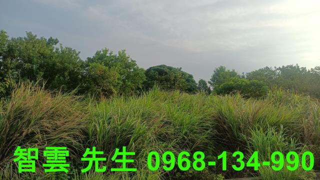 桃園觀音建地-0