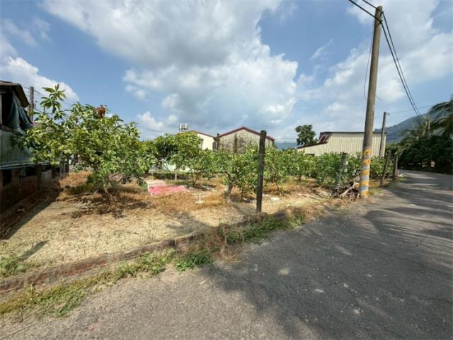 內門森林三角窗一分丙建