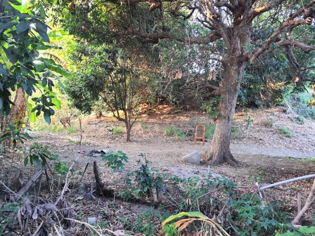 台南佳里建地-10