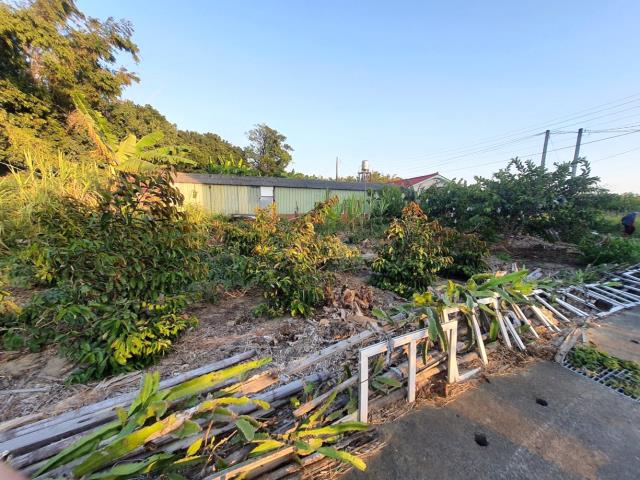 台南佳里建地-1